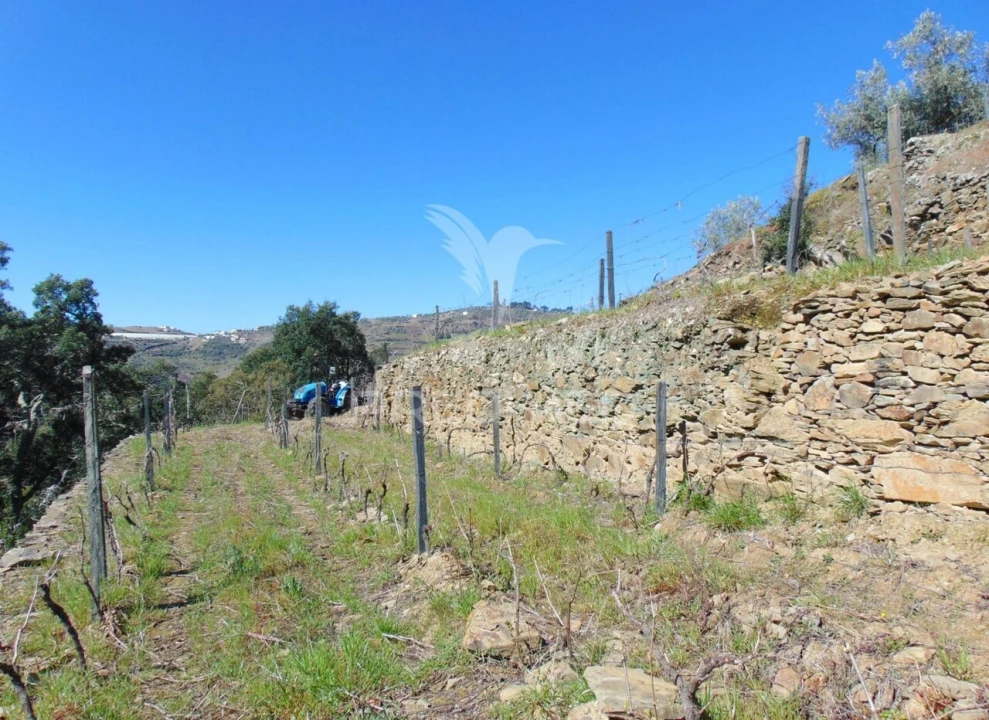 Terreno para Venda em Abaças Foto 13