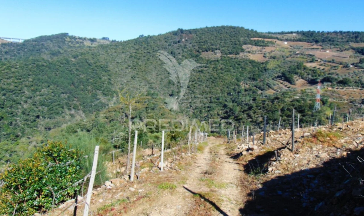 Terreno para Venda em Abaças Foto 4