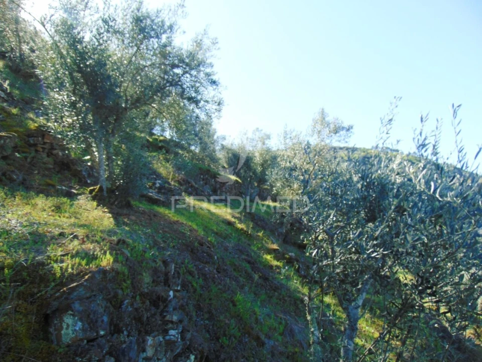 Terreno para Venda em Abaças Foto 8