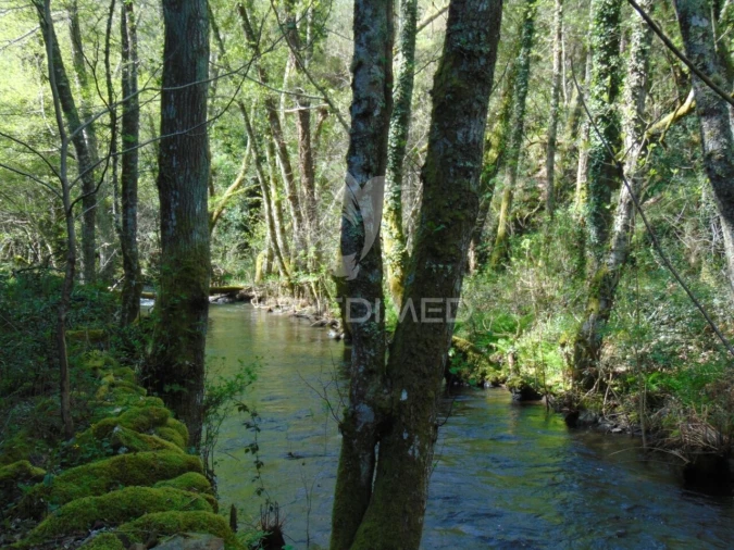 Terreno para Venda em Abaças Foto 38