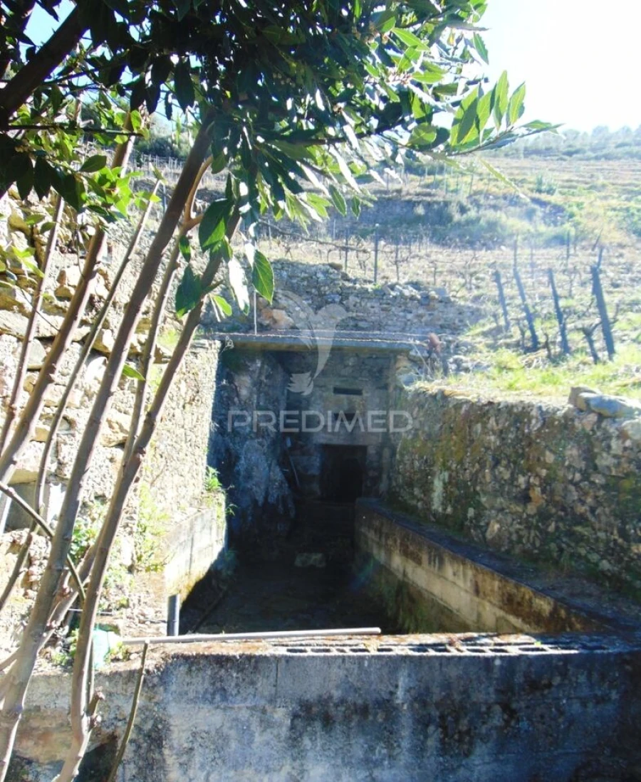 Terreno para Venda em Abaças Foto 30