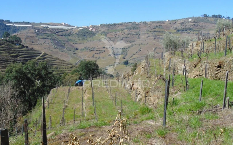 Terreno para Venda em Abaças Foto 32