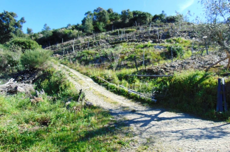Terreno para Venda em Abaças Foto 37