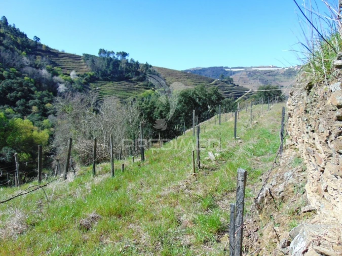 Terreno para Venda em Abaças Foto 5