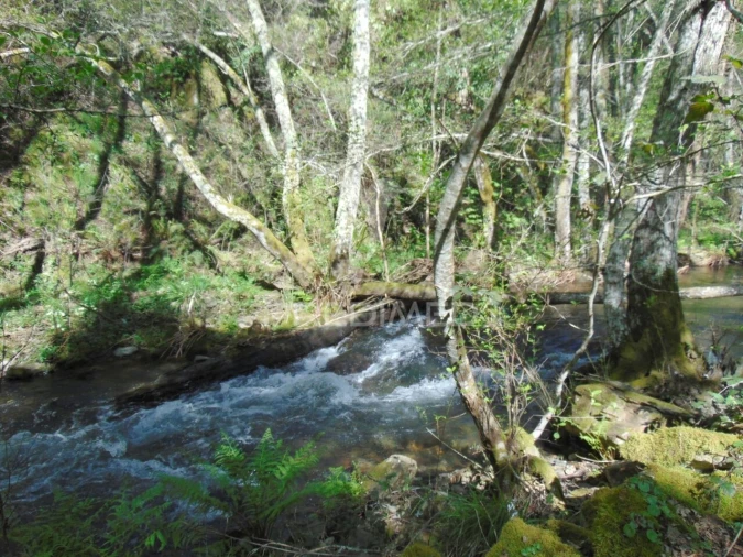 Terreno para Venda em Abaças Foto 39