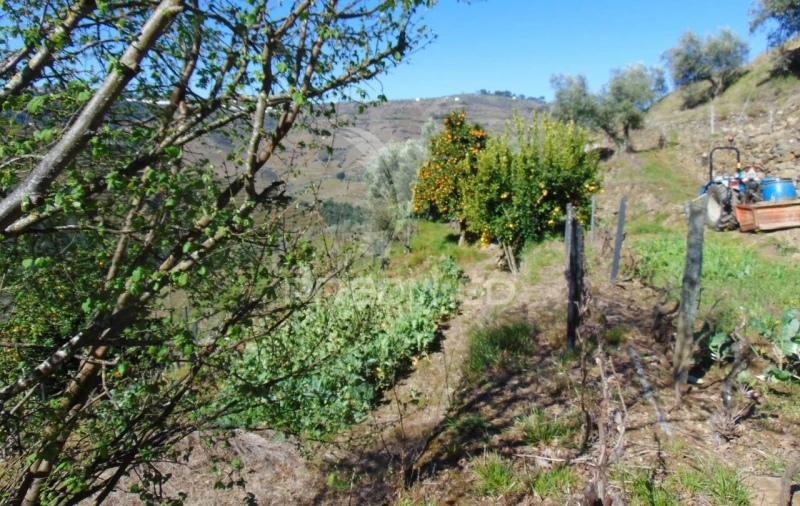 Terreno para Venda em Abaças Foto 21