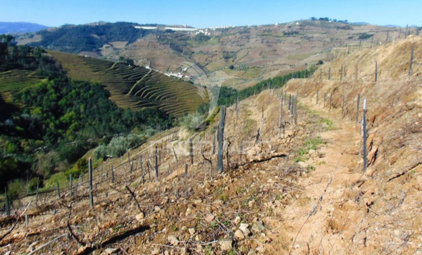 Terreno para Venda em Abaças Foto 17