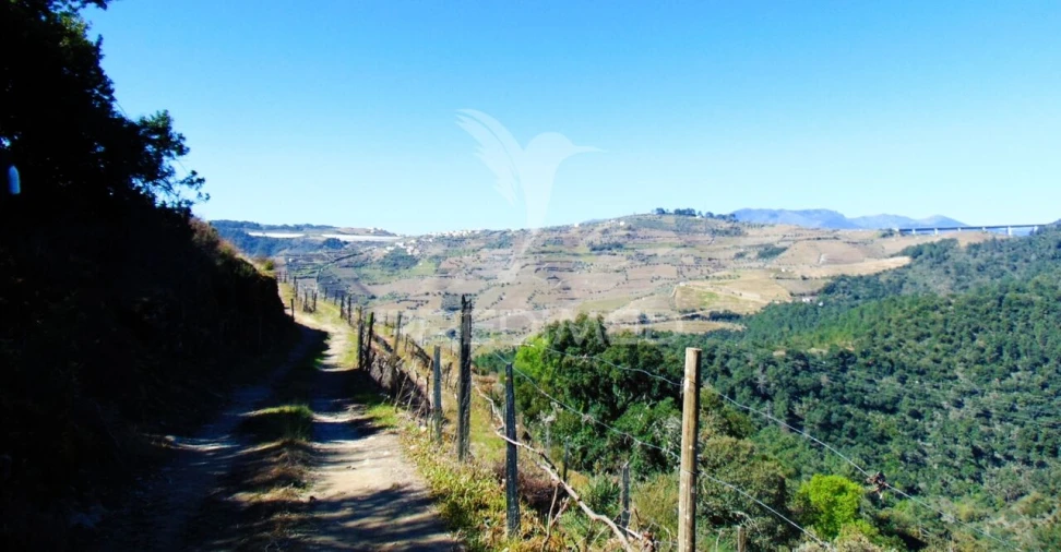 Terreno para Venda em Abaças Foto 33