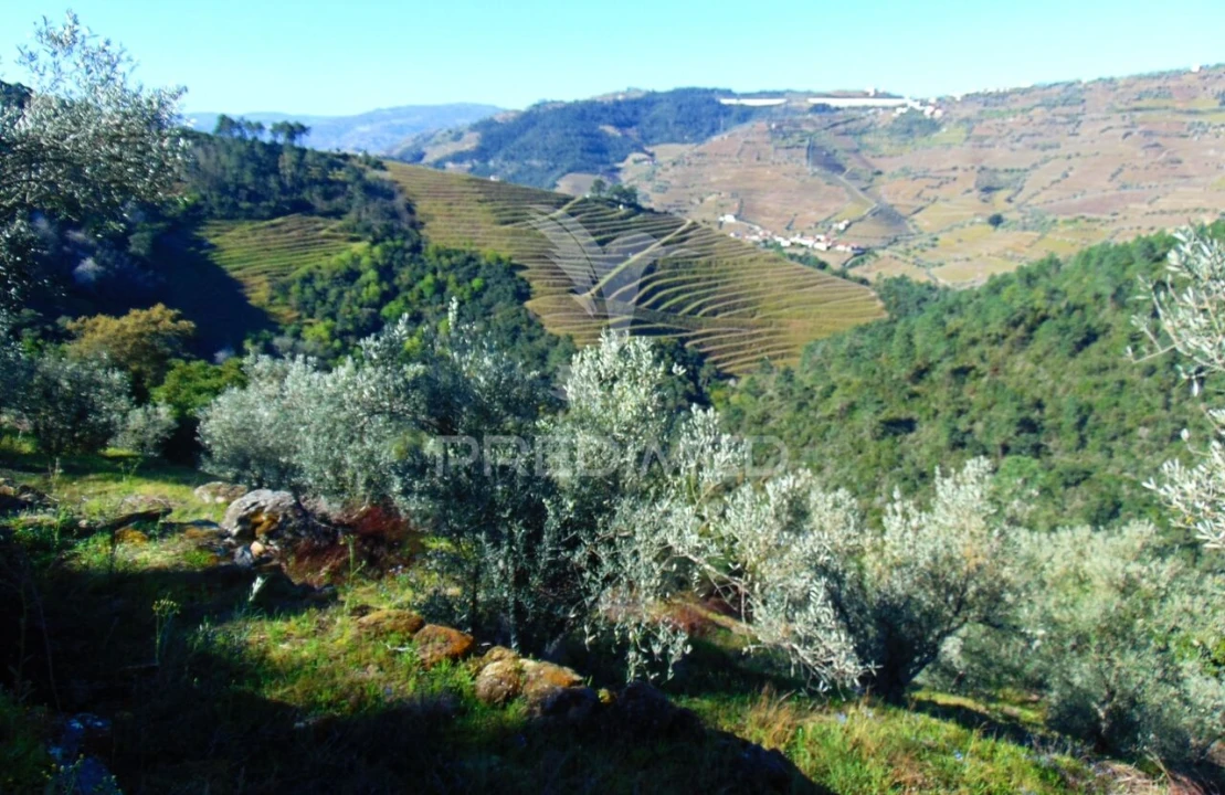 Terreno para Venda em Abaças Foto 10
