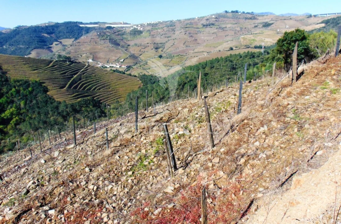 Terreno para Venda em Abaças Foto 2