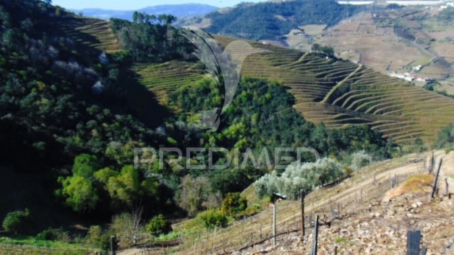 Terreno para Venda em Abaças