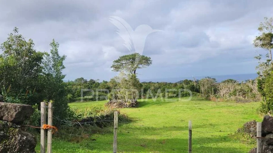 Terreno para Venda em Bandeiras