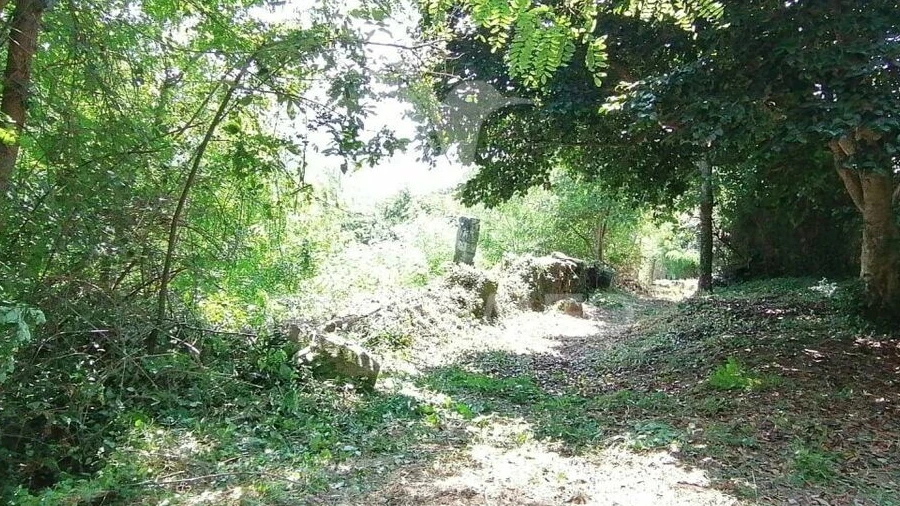 Quinta T0 para Venda em Penhalonga e Paços de Gaiolo