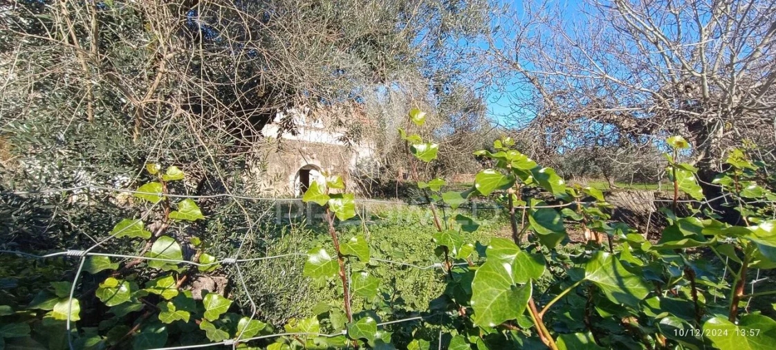 Moradia T4 para Venda em Montalvão Foto 13