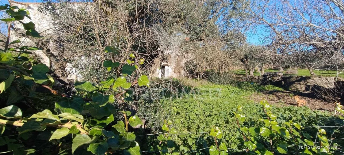 Moradia T4 para Venda em Montalvão Foto 12