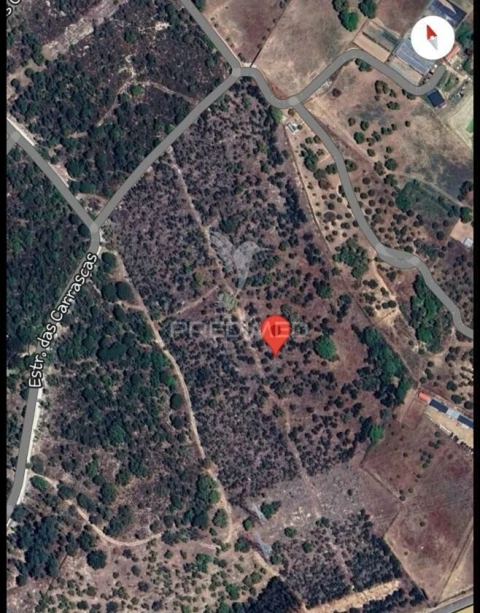 Terreno para Venda em Palmela