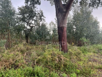 Terreno para Venda em Palmela