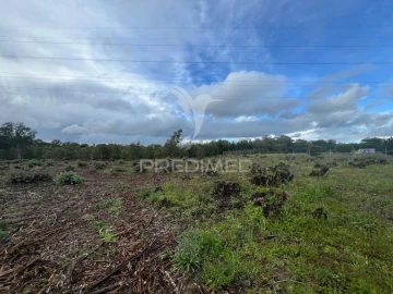 Terreno para Venda em Palmela