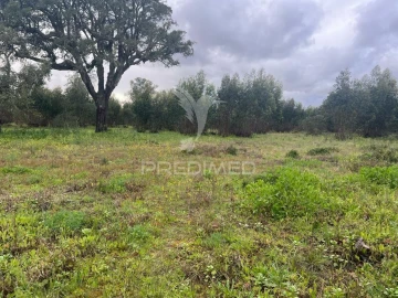 Terreno para Venda em Palmela