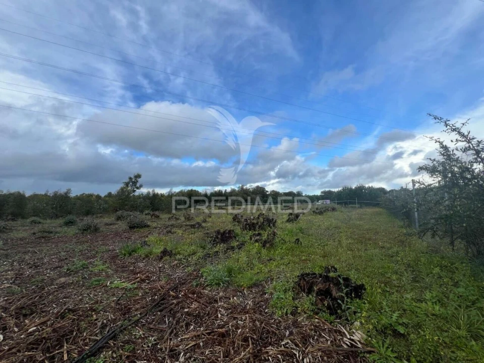 Terreno para Venda em Palmela Foto 3