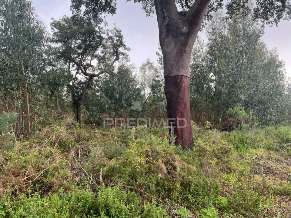 Terreno para Venda em Palmela Foto 2