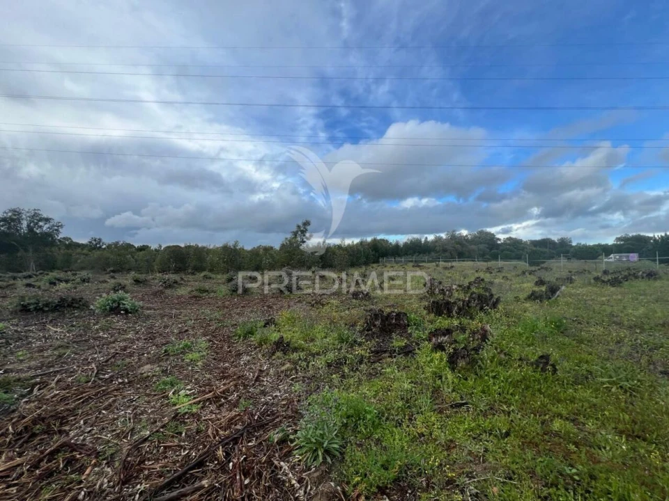 Terreno para Venda em Palmela Foto 4