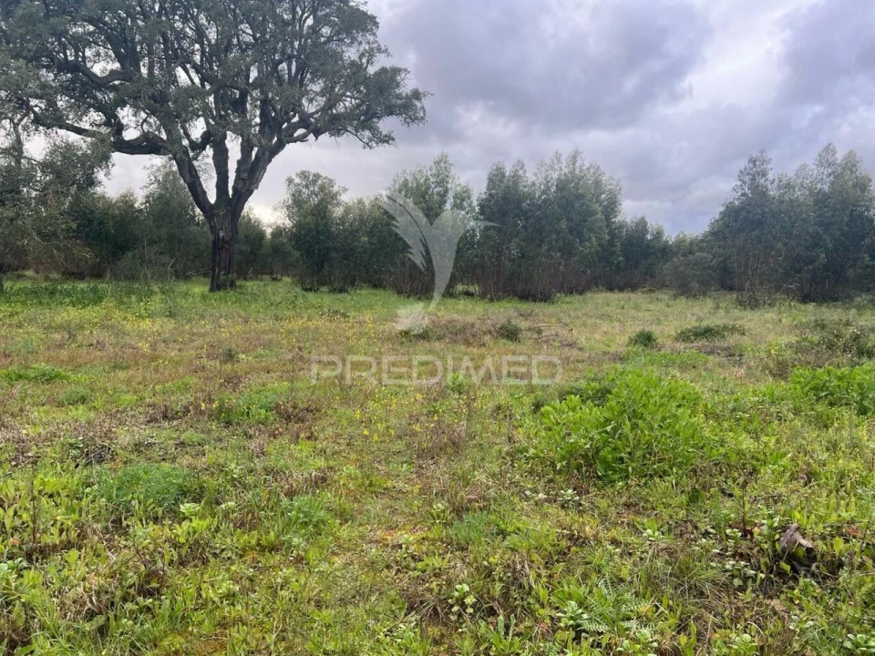 Terreno para Venda em Palmela Foto 1