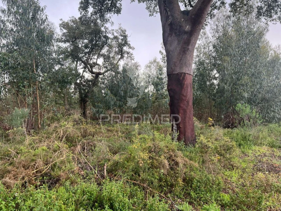 Terreno para Venda em Palmela Foto 6