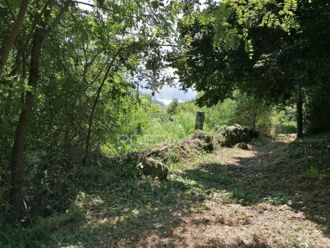 Terreno para Venda em Penhalonga e Paços de Gaiolo Foto 3