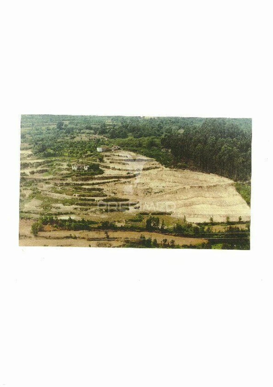 Terreno para Venda em Penhalonga e Paços de Gaiolo Foto 4