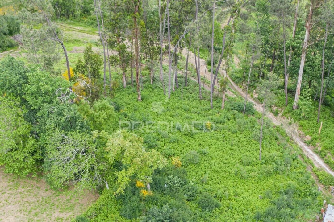 Terreno para Venda em Gême Foto 3