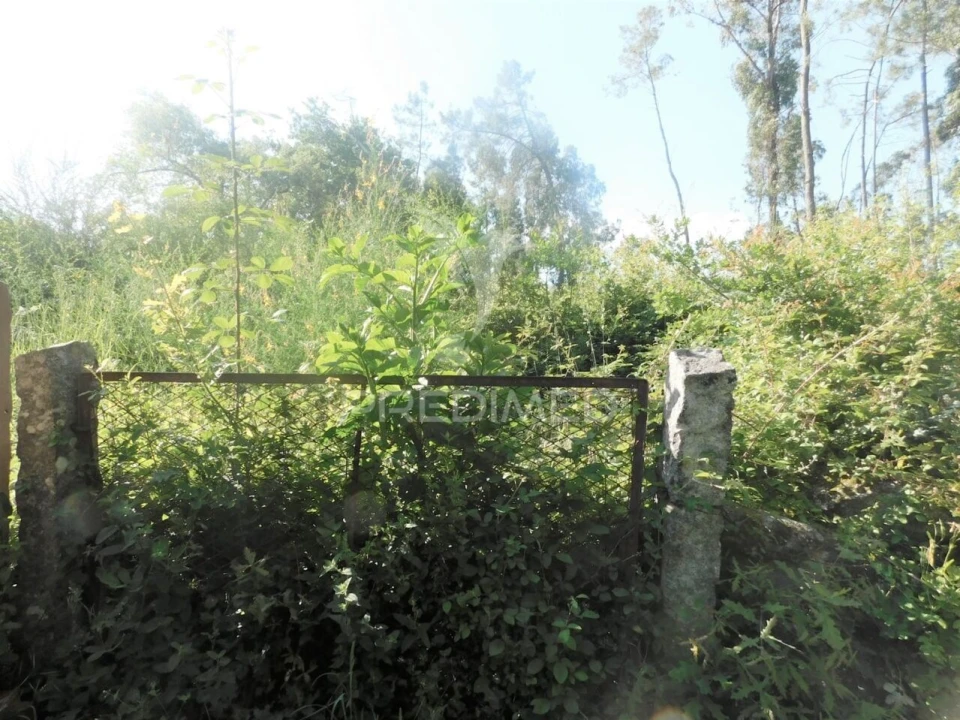 Terreno para Venda em Gême Foto 7