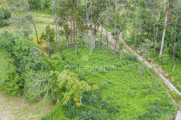 Terreno para Venda em Gême Foto 3
