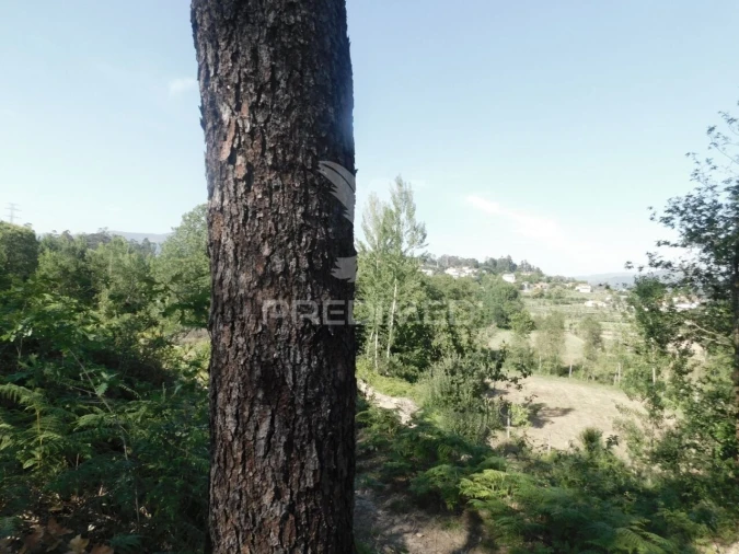Terreno para Venda em Gême Foto 8