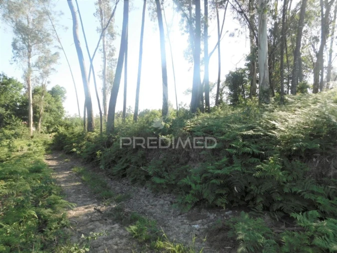 Terreno para Venda em Gême Foto 5