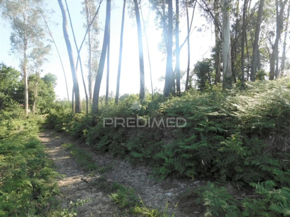 Terreno para Venda em Gême Foto 5