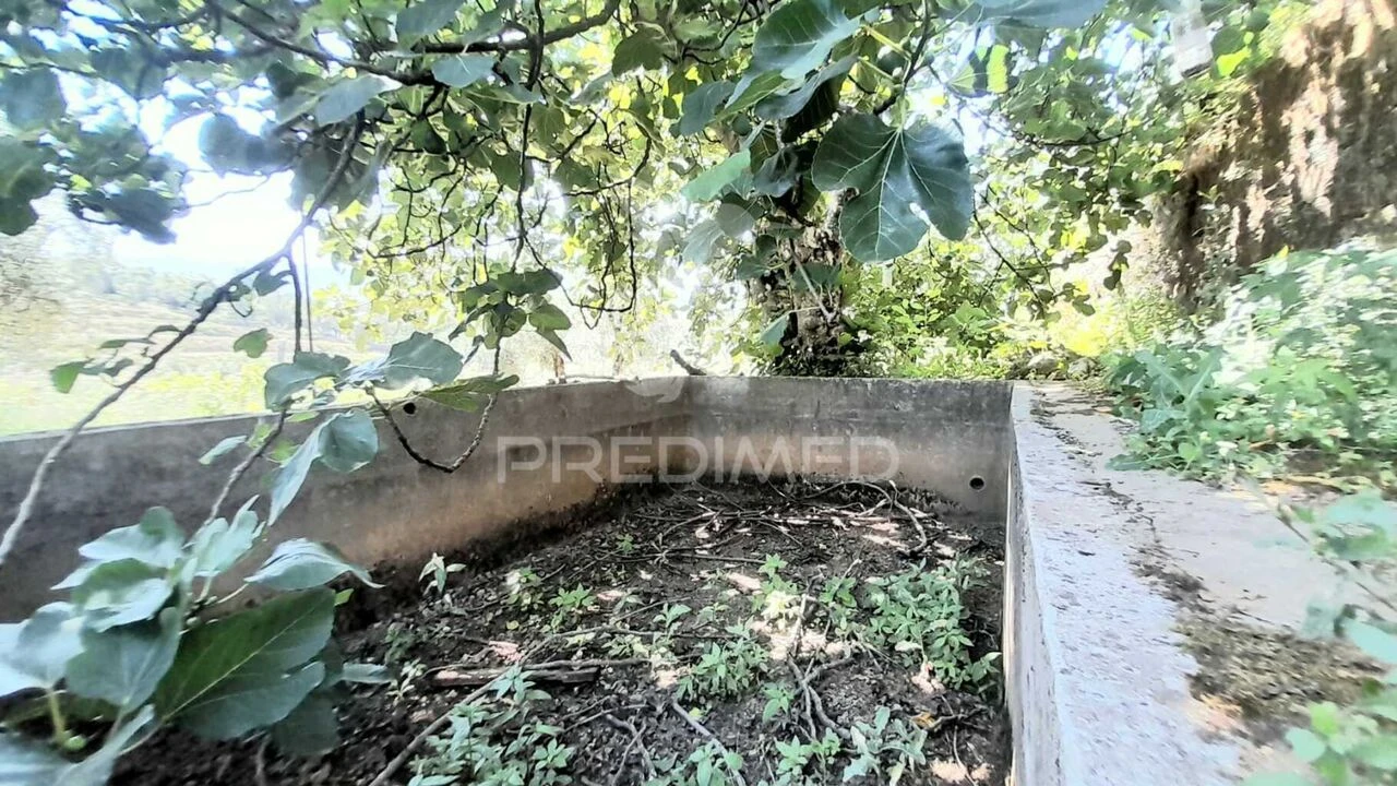 Moradia T3 para Venda em Souto da Casa Foto 25