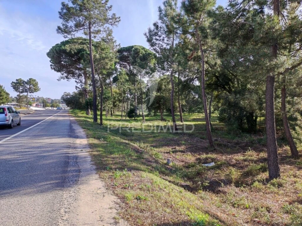 Terreno para Venda em Sesimbra (Castelo) Foto 2