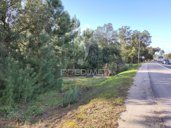 Terreno para Venda em Sesimbra (Castelo) Foto 4