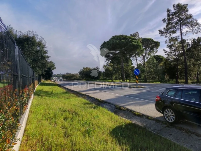 Terreno para Venda em Sesimbra (Castelo)