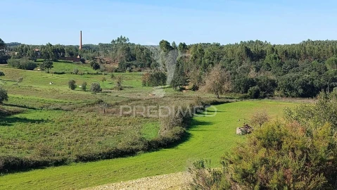 Terreno para Venda em Arneiro das Milhariças