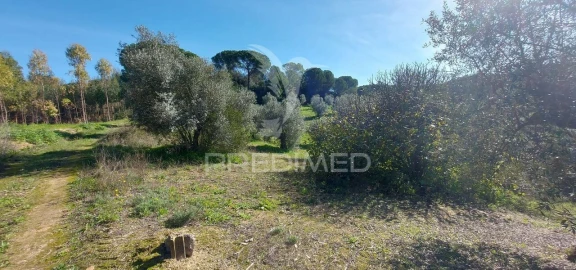 Terreno para Venda em Arneiro das Milhariças