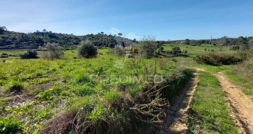 Terreno para Venda em Arneiro das Milhariças