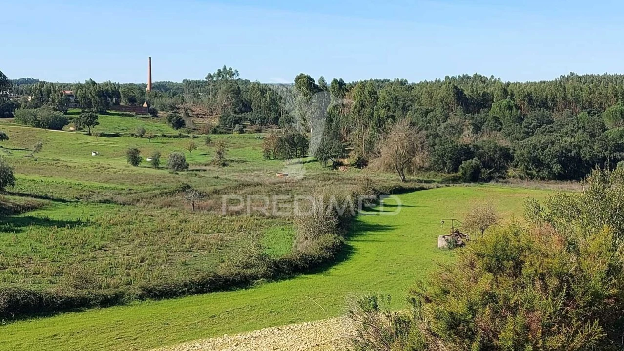 Terreno para Venda em Arneiro das Milhariças Foto 14