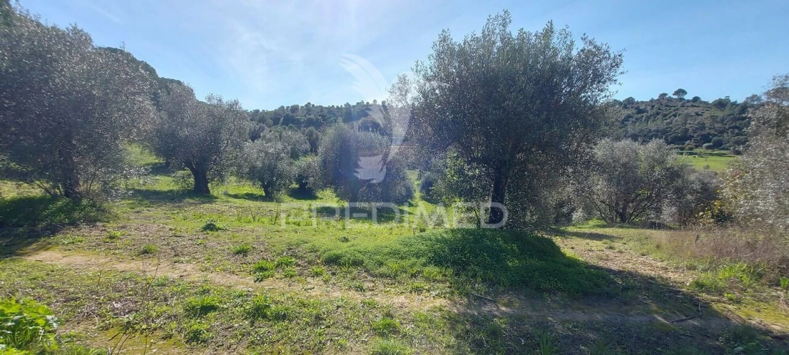 Terreno para Venda em Arneiro das Milhariças Foto 3