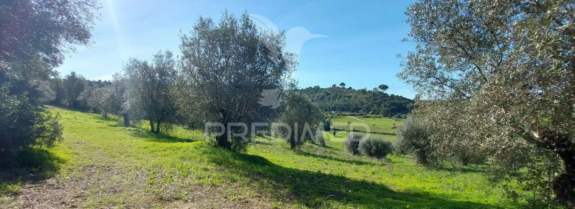 Terreno para Venda em Arneiro das Milhariças Foto 2