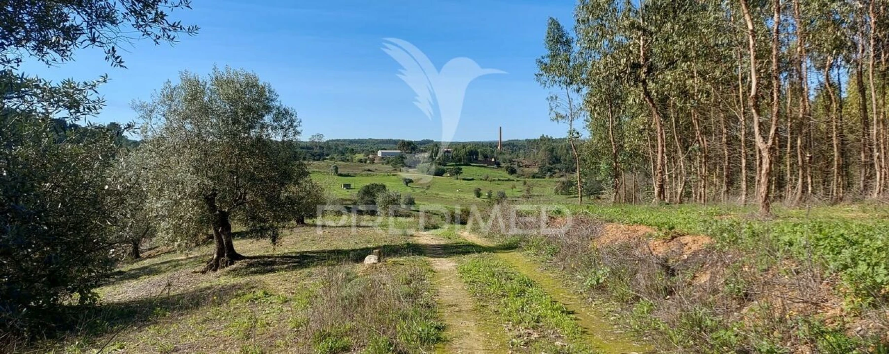 Terreno para Venda em Arneiro das Milhariças Foto 10