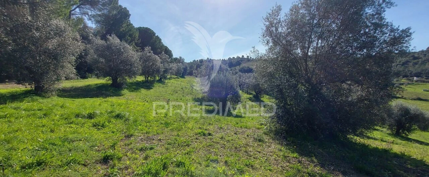 Terreno para Venda em Arneiro das Milhariças Foto 1