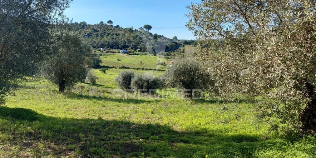 Terreno para Venda em Arneiro das Milhariças Foto 9