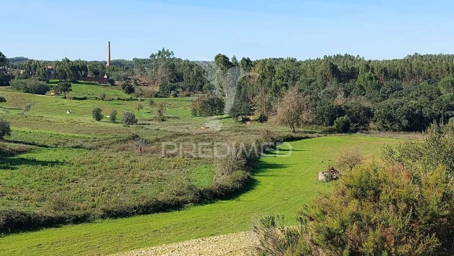 Terreno para Venda em Arneiro das Milhariças Foto 14